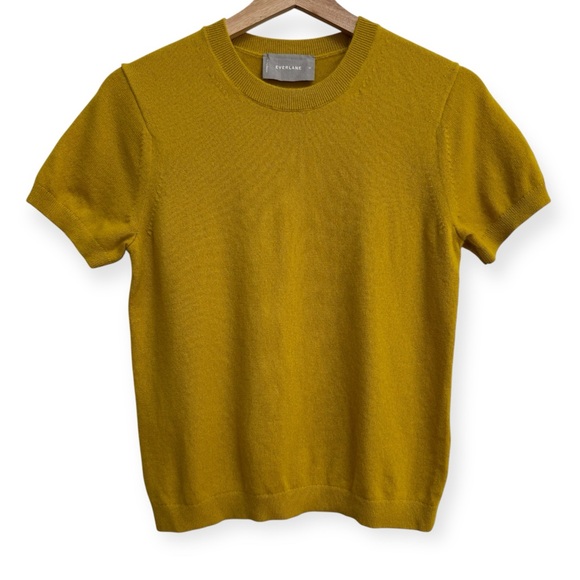 Everlane Sweaters - Everlane 100% Cashmere Short Sleeve Crew Neck Sweater